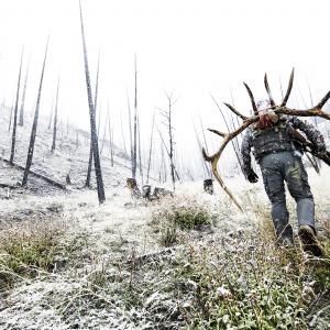 Hunting – Elk Hunt – Hunter Walking Through Burn